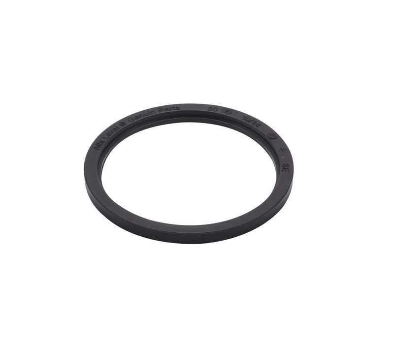 GASKET FLANGE DN100 FPM