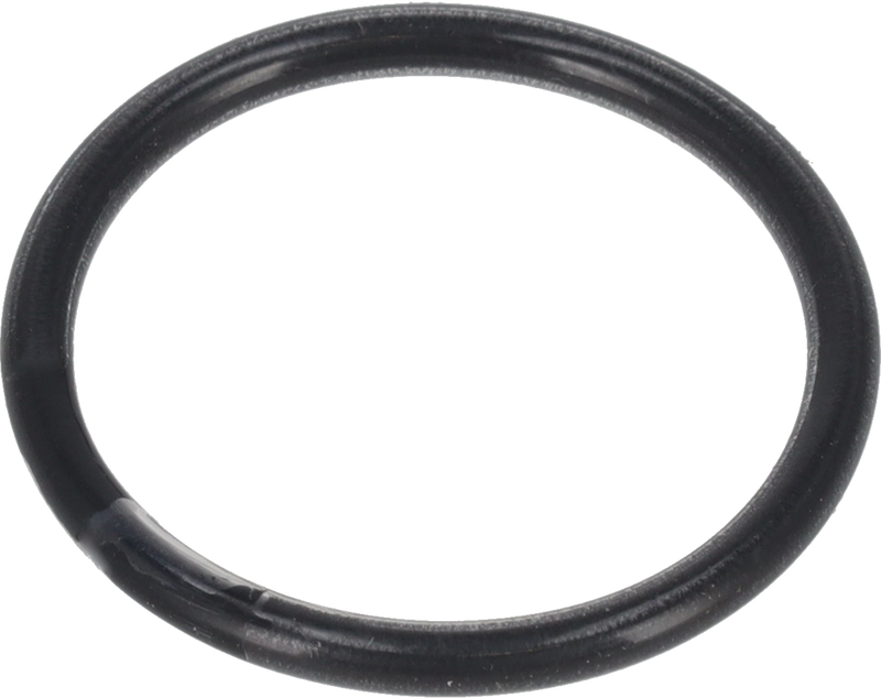 O-RING Ø30 FPM/FEP - BETWEEN IMPELLER AND SHAFT END