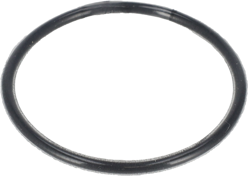 O-RING Ø40 FPM/FEP - BETWEEN IMPELLER AND SHAFT END