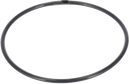 O-RING Ø60 FPM/FEP - BETWEEN IMPELLER AND SHAFT END