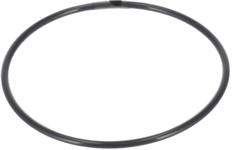 O-RING Ø60 FPM/FEP - BETWEEN IMPELLER AND SHAFT END