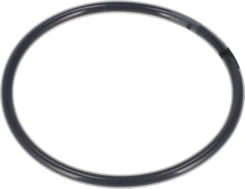 O-RING FPM/FEP - BETWEEN WELDING AND MOUNTING FLANGE Ø134/Ø140/Ø160