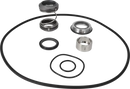 pumps-dms-sicsic-9611920553-content_medium.webp