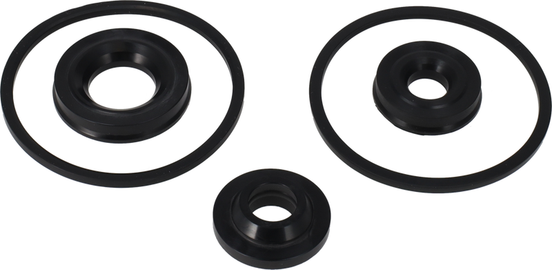 SERVICE KIT EPDM C/O SPECIAL - LIP SEAL  25/NW25