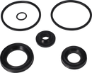 SERVICE KIT EPDM C/O SPECIAL - LIP SEAL  38/NW40