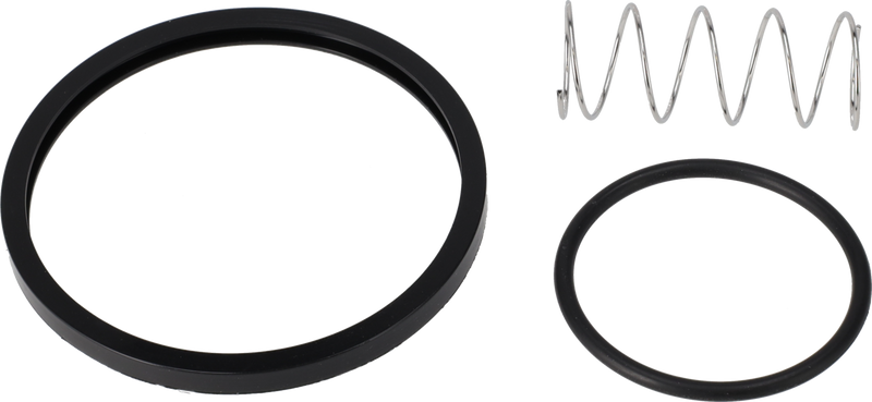 SERVICE KIT EPDM LKC ULTRAPURE - 51MM/DN50 USP CLASS VI