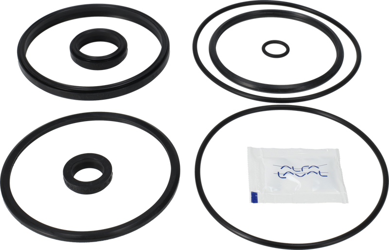 SERVICE KIT EPDM UNIQUE DOUBLE - SEAT 101.6/DN100 PLUG SET-UP 10 AND 11