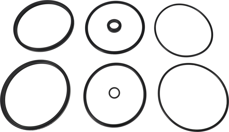 SERVICE KIT EPDM UNIQUE DOUBLE - SEAT 101.6/DN100 PLUG SET-UP 12