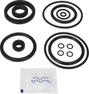 SERVICE KIT EPDM UNIQUE DOUBLE - SEAT 51/DN50 PLUG SET-UP 5 AND 8
