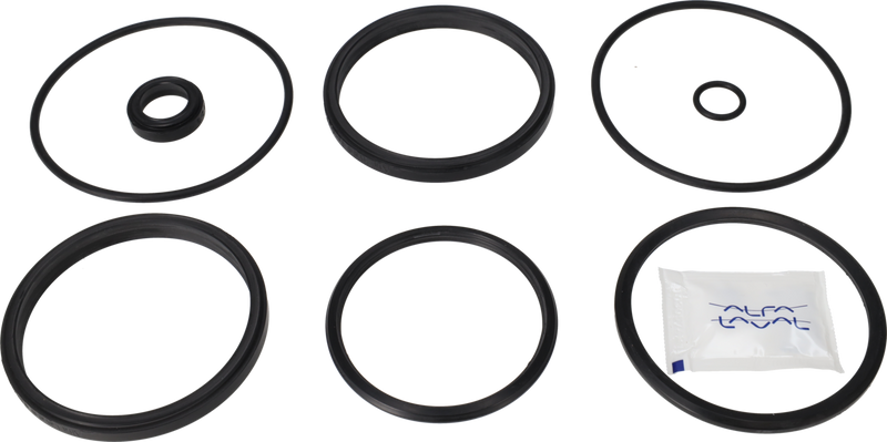 SERVICE KIT EPDM UNIQUE DOUBLE - SEAT 63.5-76/DN65-80 PLUG SET-UP 12
