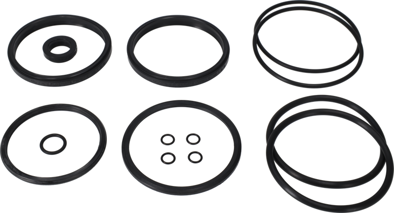 SERVICE KIT HNBR UNIQUE DOUBLE - SEAT 63.5-76/DN65-80 PLUG SET-UP 6