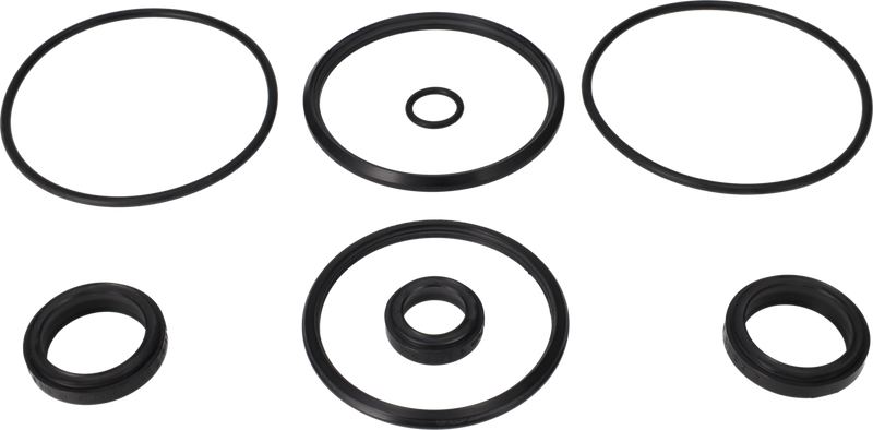 SERVICE KIT HNBR UNIQUE DOUBLE - SEAT 63.5-76/DN65-80 PLUG SET-UP 9